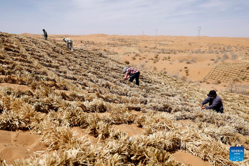 Workers upgrade desert barriers in Tengger Desert, China's Ningxia