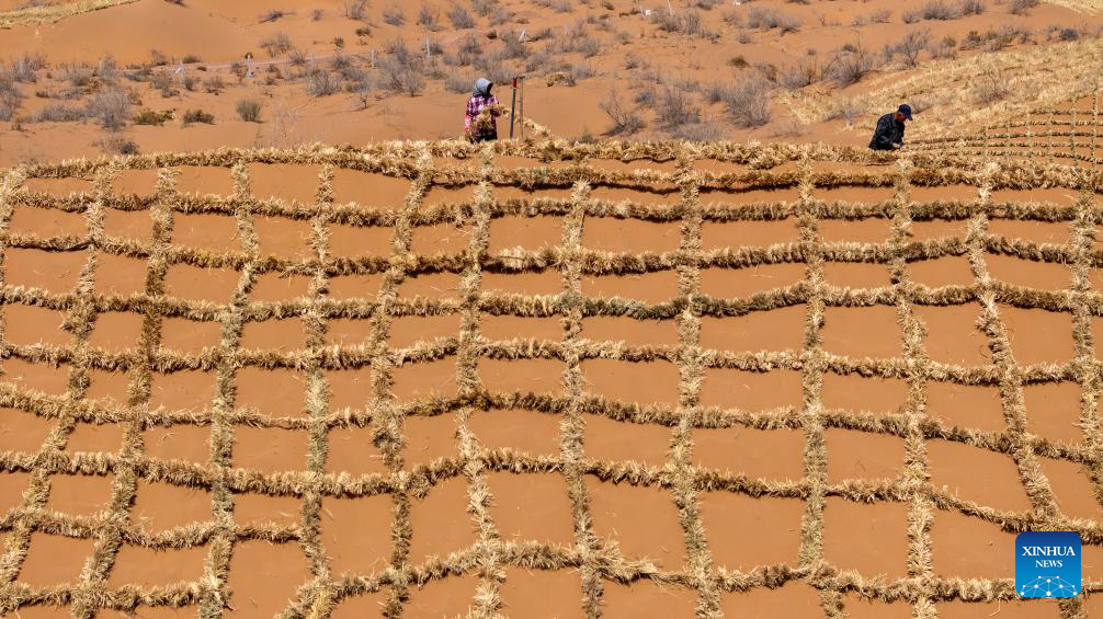 Workers upgrade desert barriers in Tengger Desert, China's Ningxia