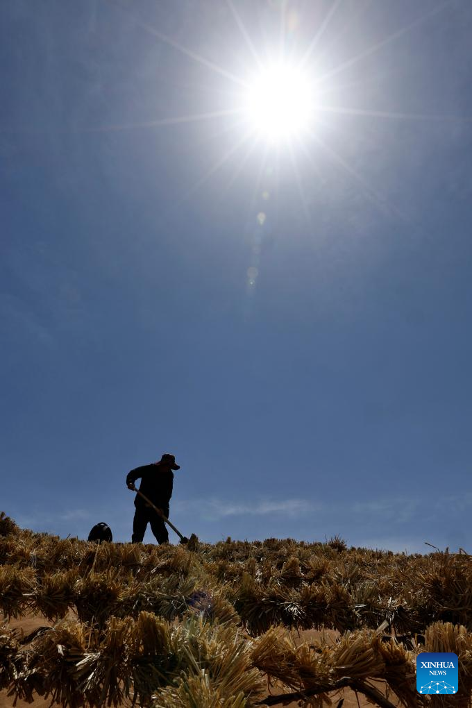 Workers upgrade desert barriers in Tengger Desert, China's Ningxia