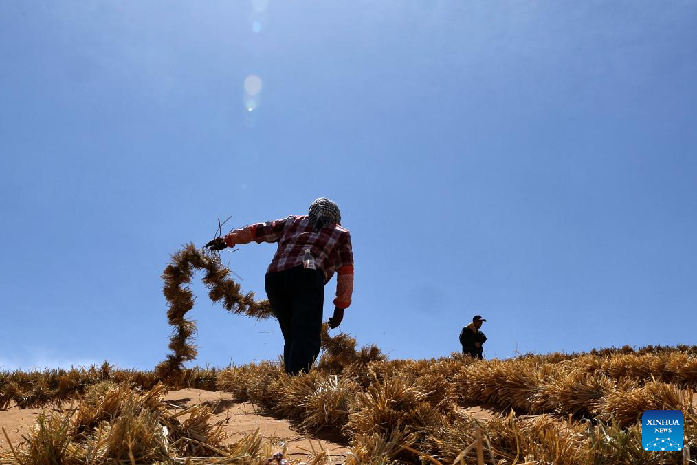 Workers upgrade desert barriers in Tengger Desert, China's Ningxia