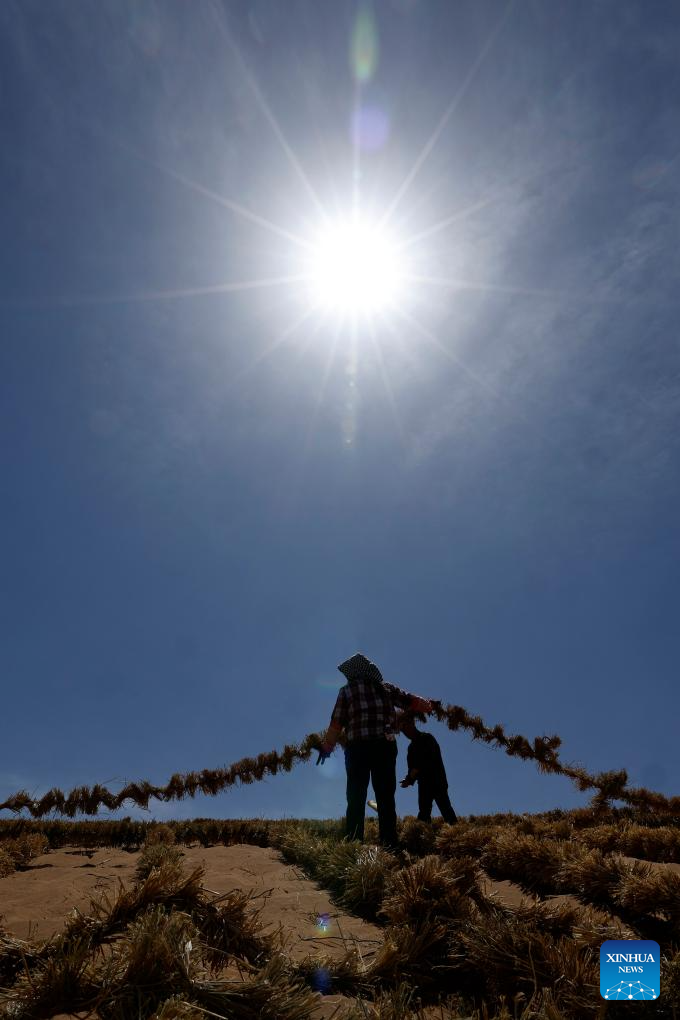 Workers upgrade desert barriers in Tengger Desert, China's Ningxia