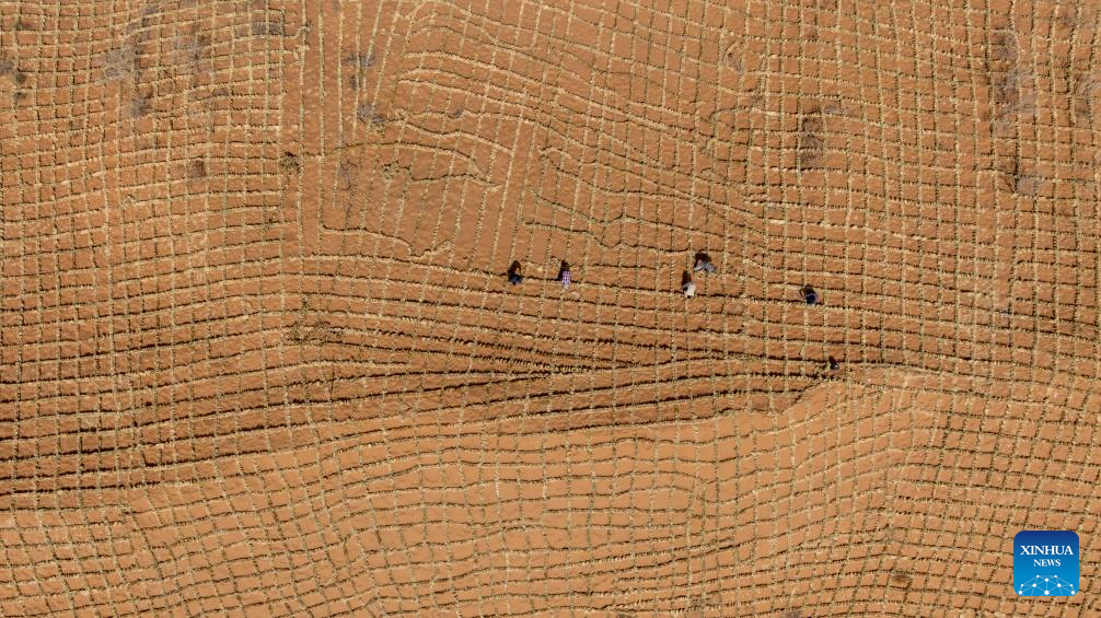 Workers upgrade desert barriers in Tengger Desert, China's Ningxia