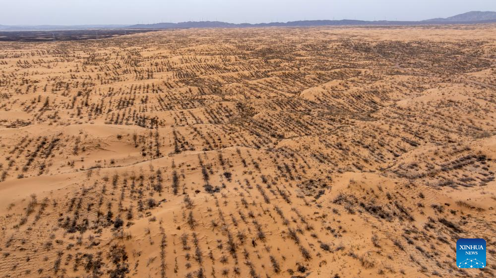 Workers upgrade desert barriers in Tengger Desert, China's Ningxia
