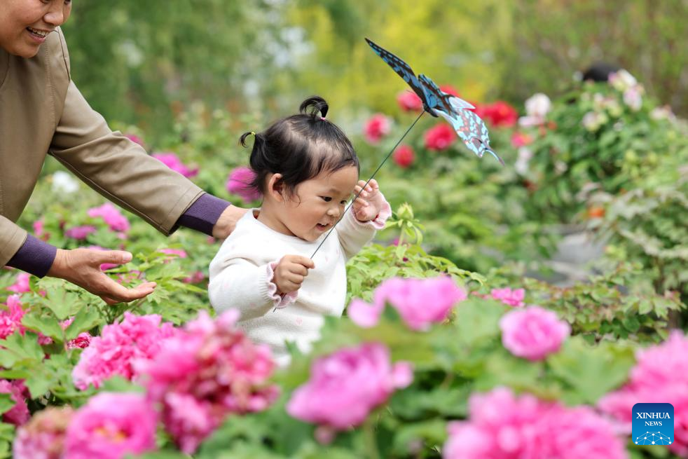 People enjoy blooming flowers in China's Jiangsu