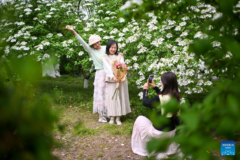 People enjoy blooming flowers in China's Jiangsu