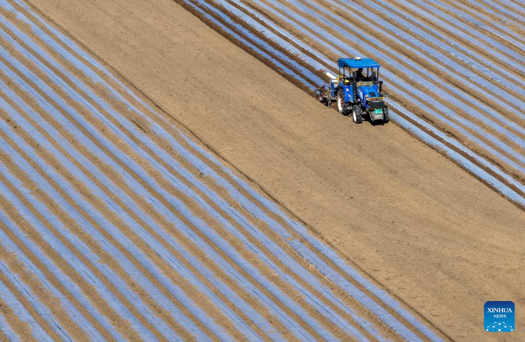 Spring fields buzzing with activity across China