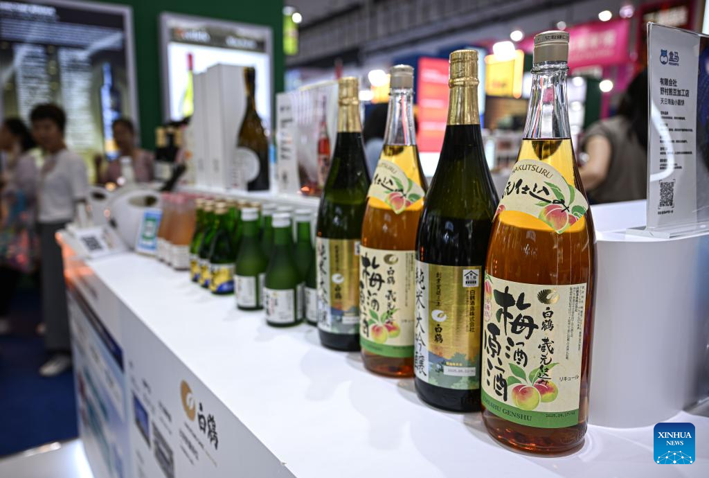 International exhibits highlighted at 6th CICPE