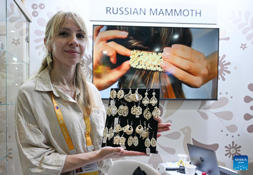 International exhibits highlighted at 6th CICPE