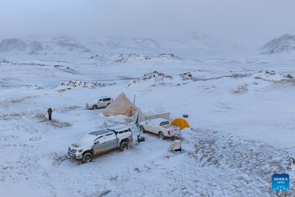 Pic story: guardians of ecosystem in Xizang's nature reserve