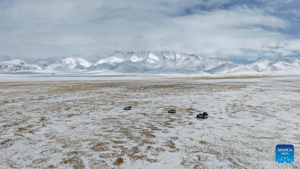 Pic story: guardians of ecosystem in Xizang's nature reserve