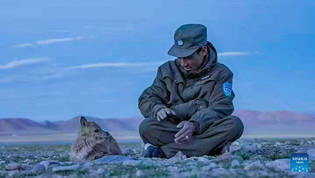 Pic story: guardians of ecosystem in Xizang's nature reserve