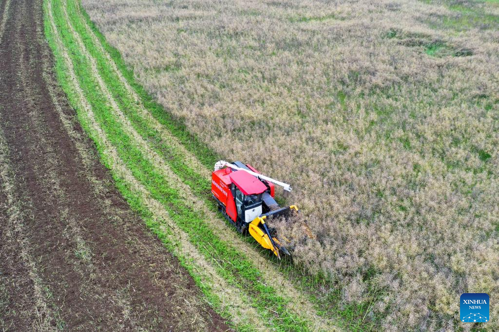 Farmers across China busy with field works in early summer