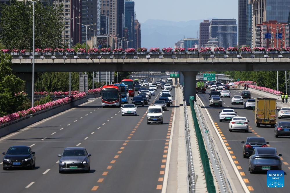 Blooming Chinese roses grace streets of Beijing in early summer