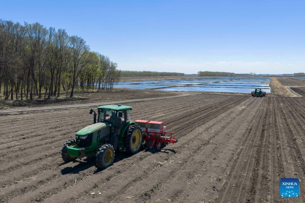 China's Heilongjiang busy with sowing operations in farming season