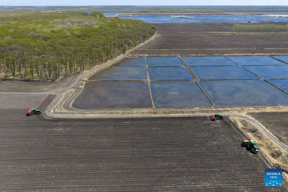 China's Heilongjiang busy with sowing operations in farming season