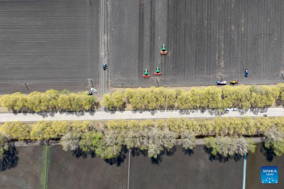 China's Heilongjiang busy with sowing operations in farming season