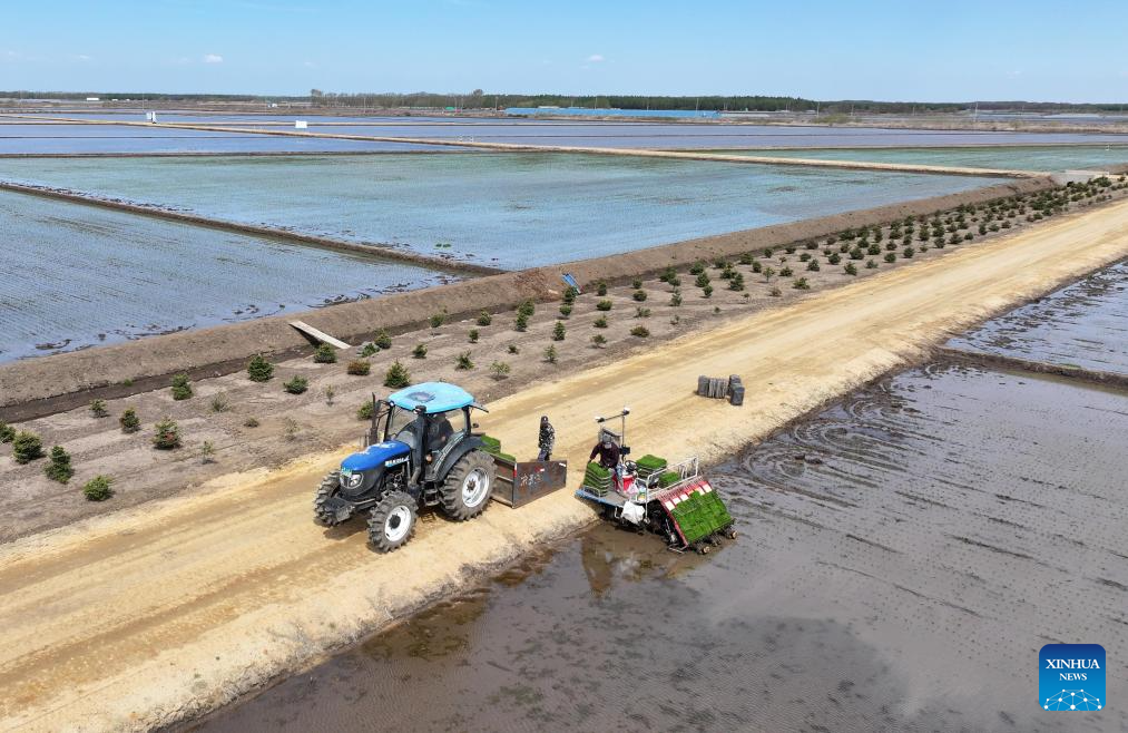 China's Heilongjiang busy with sowing operations in farming season