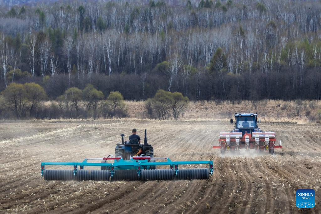 China's Heilongjiang busy with sowing operations in farming season