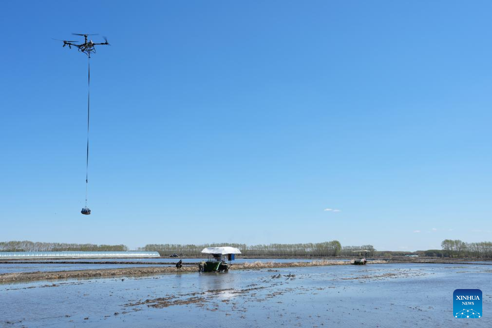 China's Heilongjiang busy with sowing operations in farming season