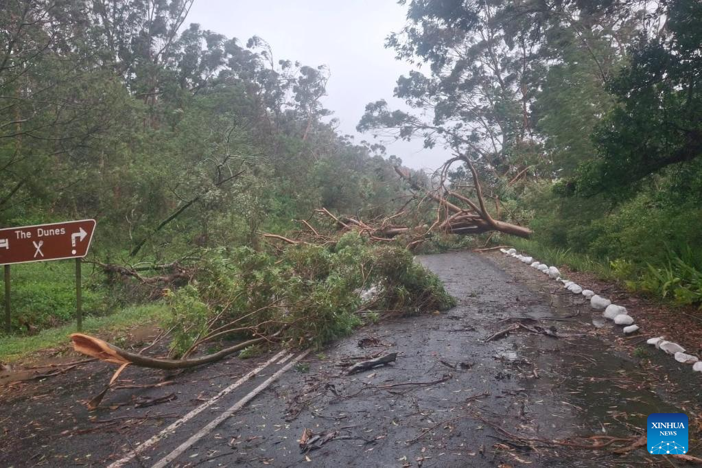 Severe weather in South Africa officially classified as national disaster