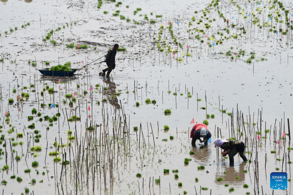 China's Heilongjiang enters