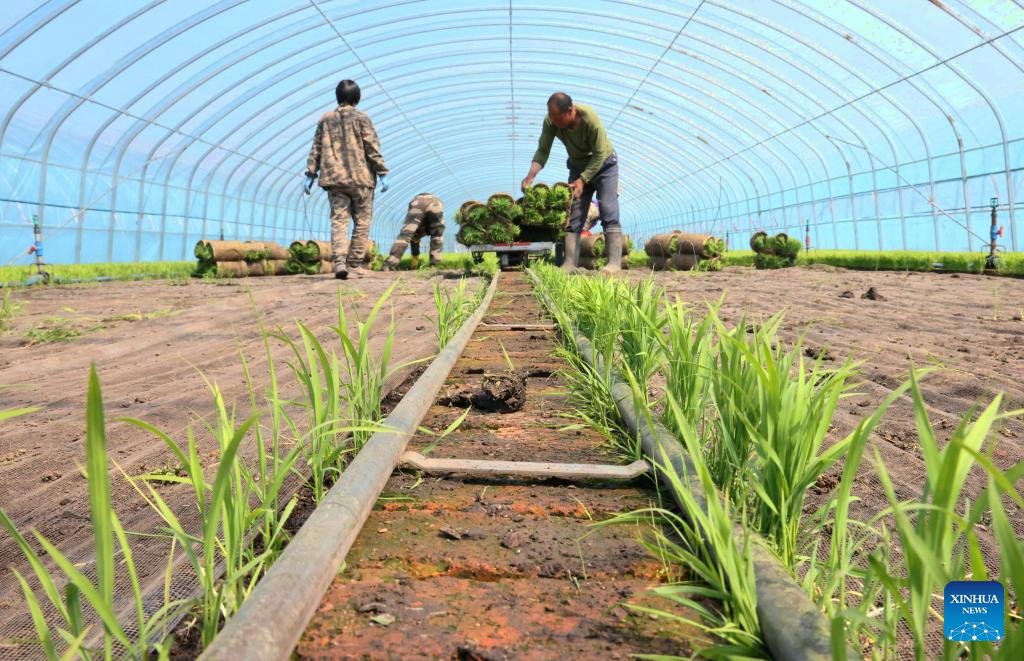China's Heilongjiang enters