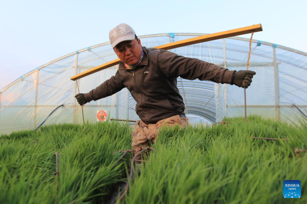 China's Heilongjiang enters