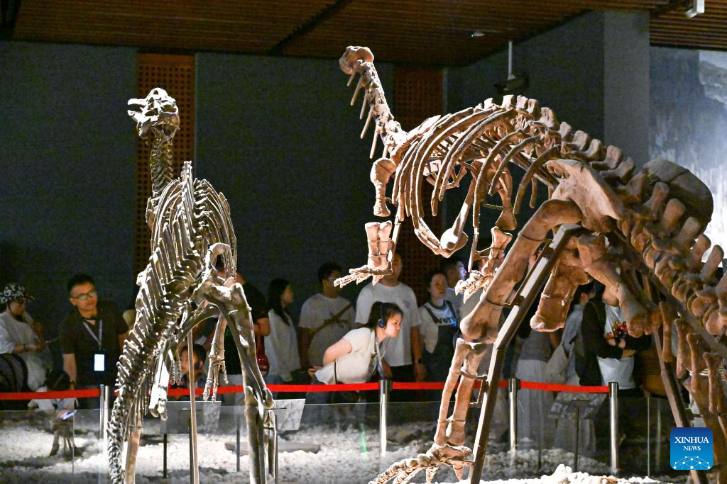 Museums across China receive crowds of visitors ahead of International Museum Day