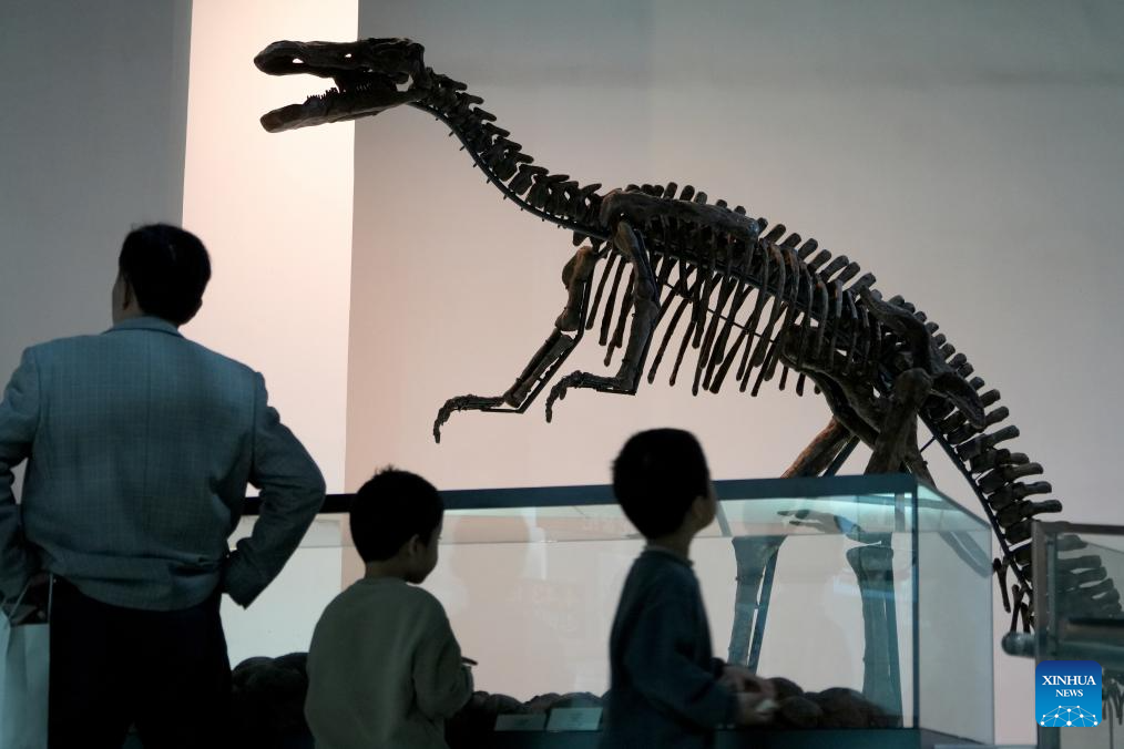 Museums across China receive crowds of visitors ahead of International Museum Day