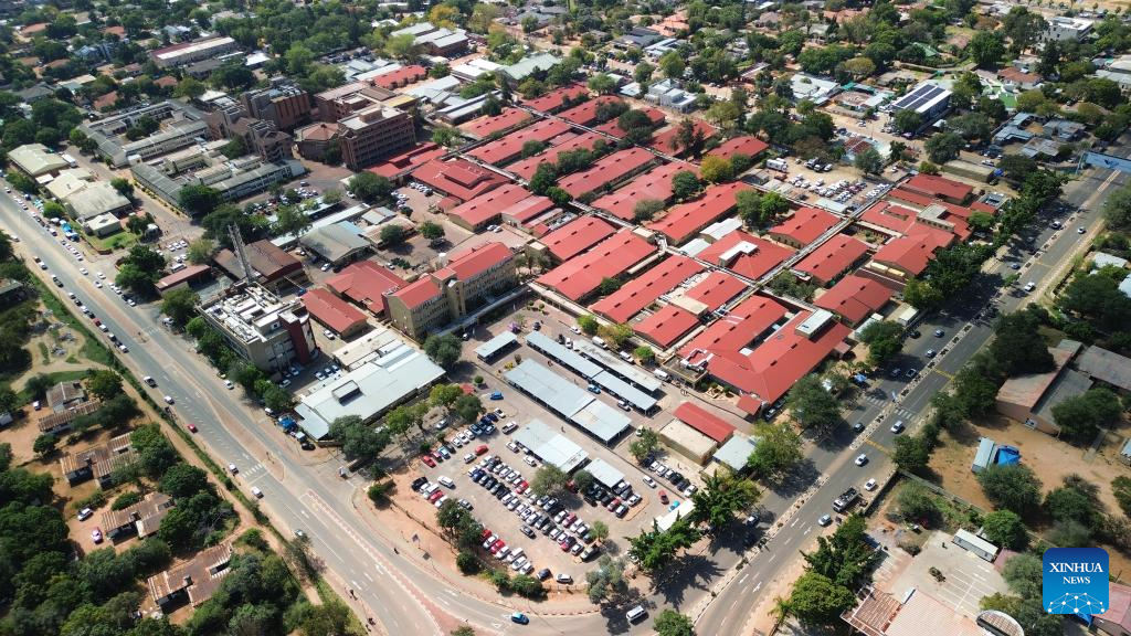 Feature: Chinese medical team helps enhance healthcare capacity in Botswana