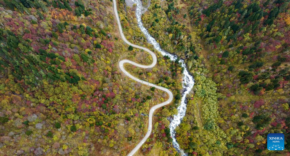 Improved transport network boosts accessibility across China's Xizang