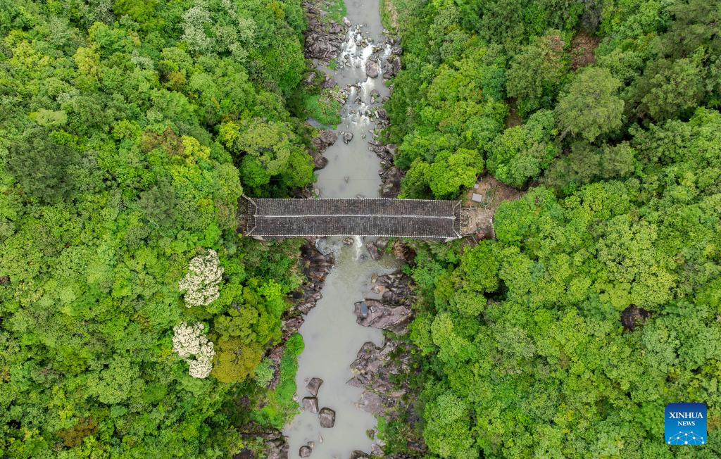 Wooden-roofed arch bridges well preserved in China's Fujian