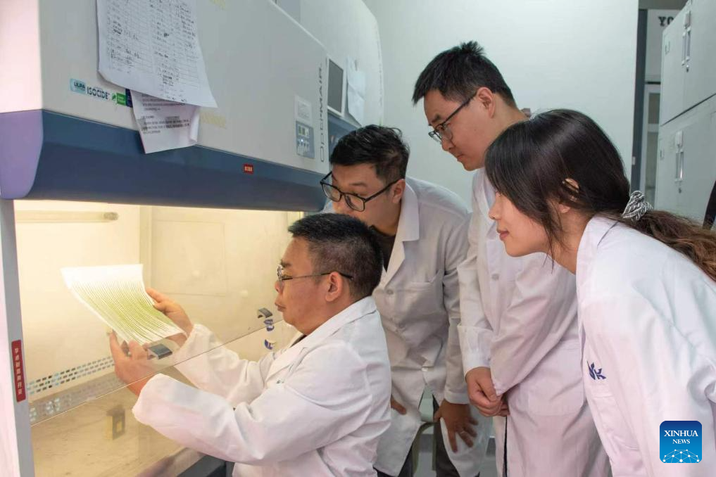 Chinese scientists crack rice disease'