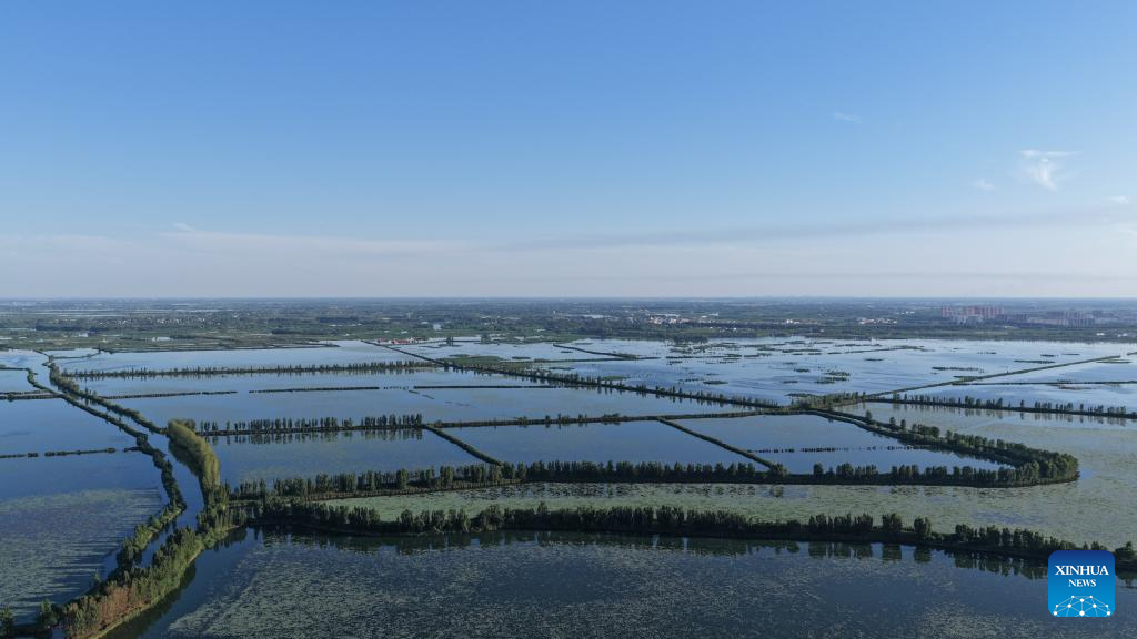 A glimpse of early summer scenery in Xiong'an