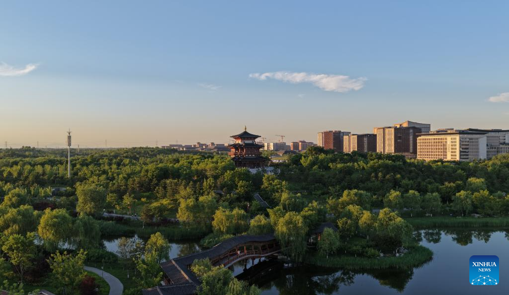 A glimpse of early summer scenery in Xiong'an