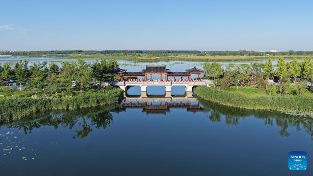 A glimpse of early summer scenery in Xiong'an