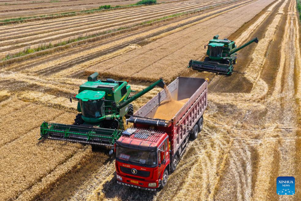 Wheat harvested in Xuyi County, E China's Jiangsu