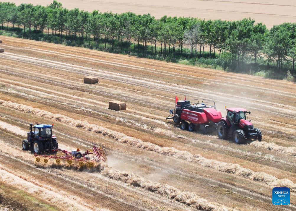 Wheat harvested in Xuyi County, E China's Jiangsu