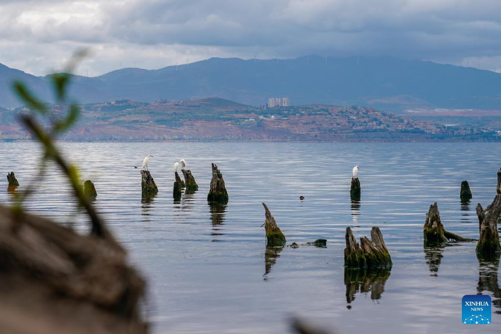View of Erhai Lake in China's Yunnan