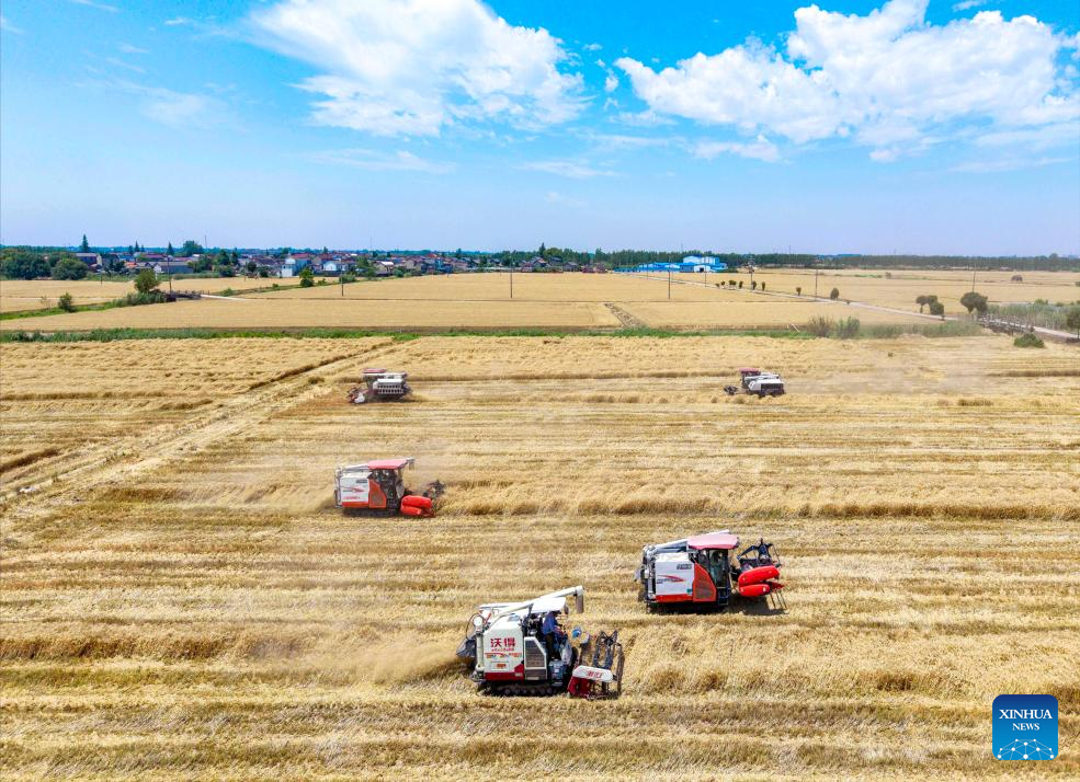 Wheat harvested across China
