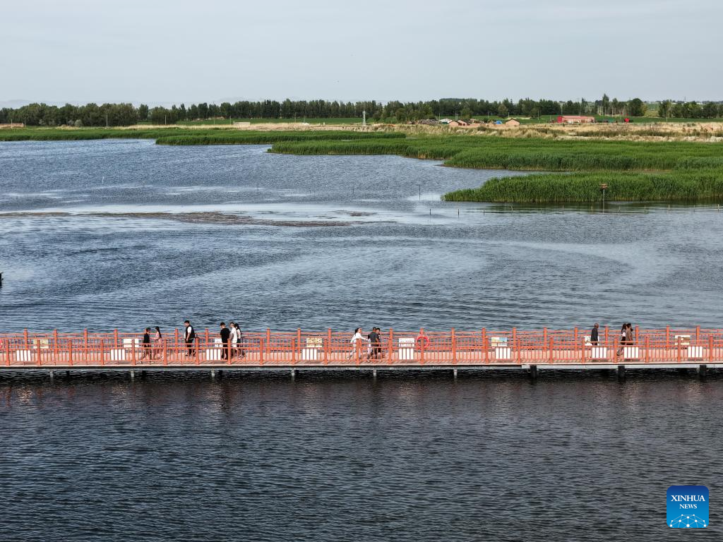 Ecology of Ulan Suhai Lake in China's Inner Mongolia improved