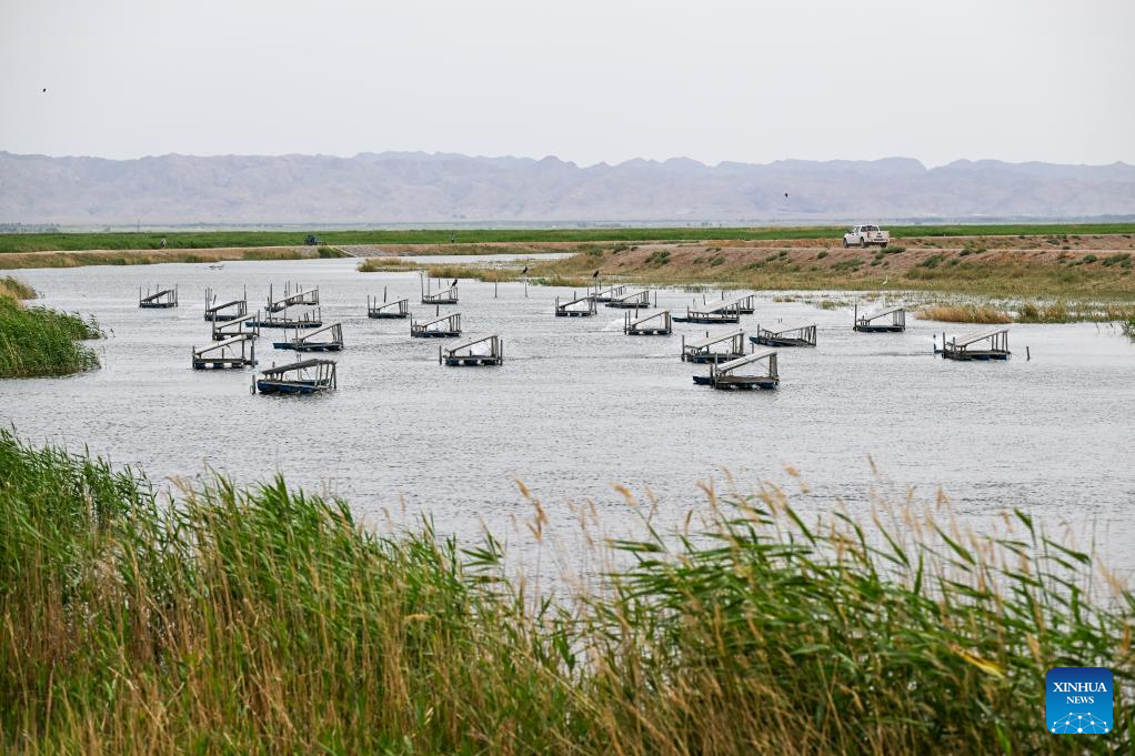 Ecology of Ulan Suhai Lake in China's Inner Mongolia improved