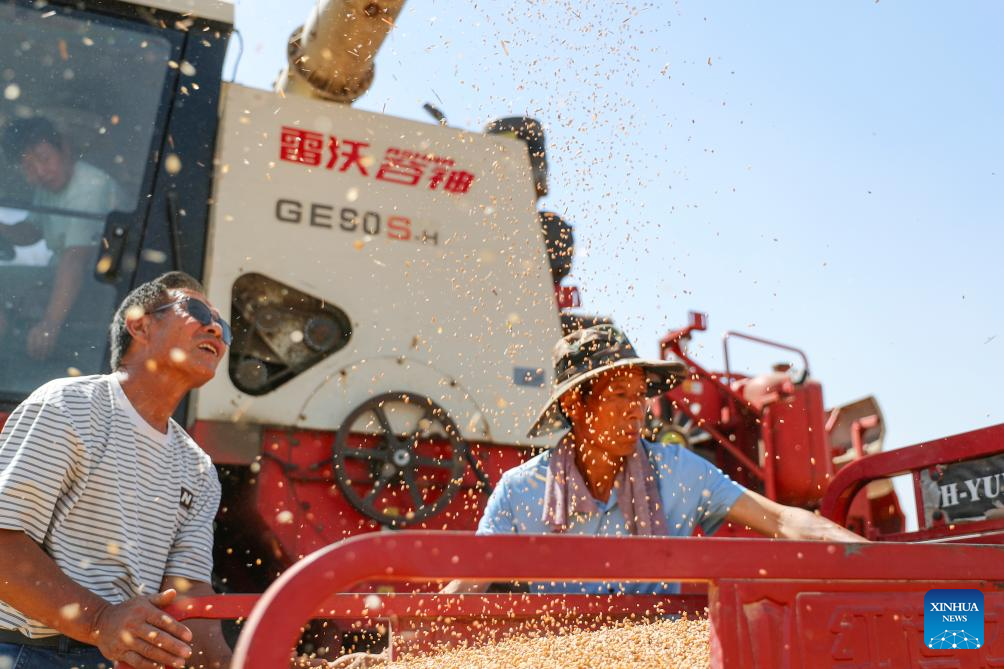 Wheat harvest underway in China's Henan