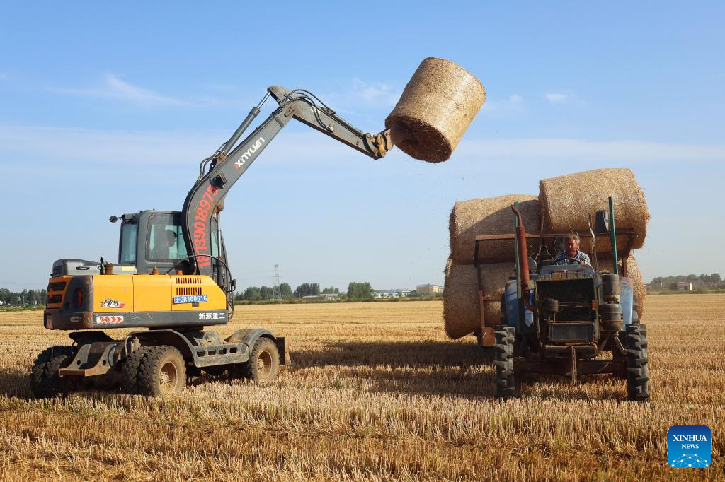 Wheat harvest underway in China's Henan