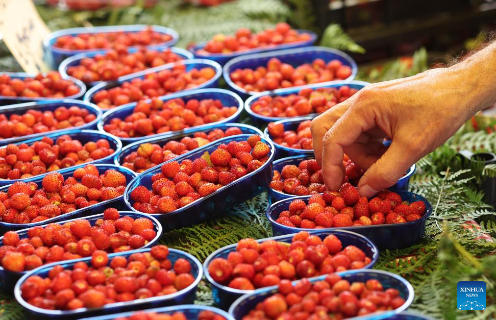 2026 Nemi Strawberry Festival celebrated in Nemi, Lazio