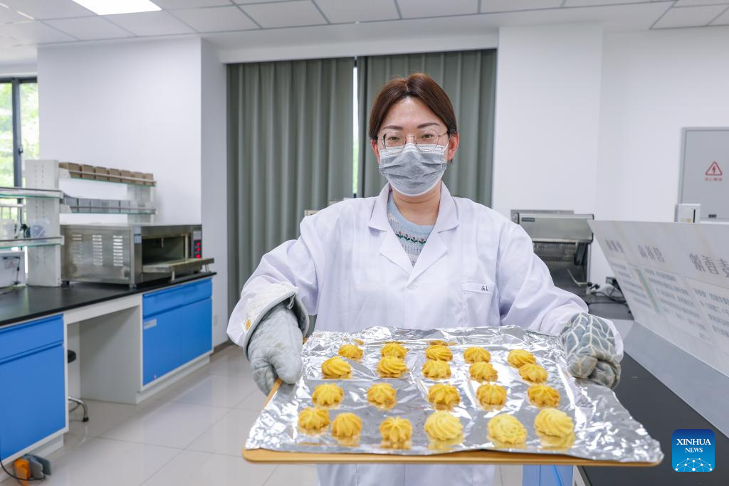 N China's Cangzhou turns saline-alkali land into productive wheat fields