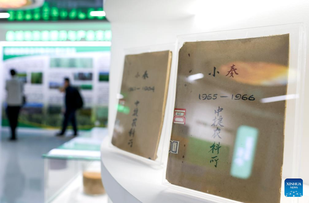 N China's Cangzhou turns saline-alkali land into productive wheat fields