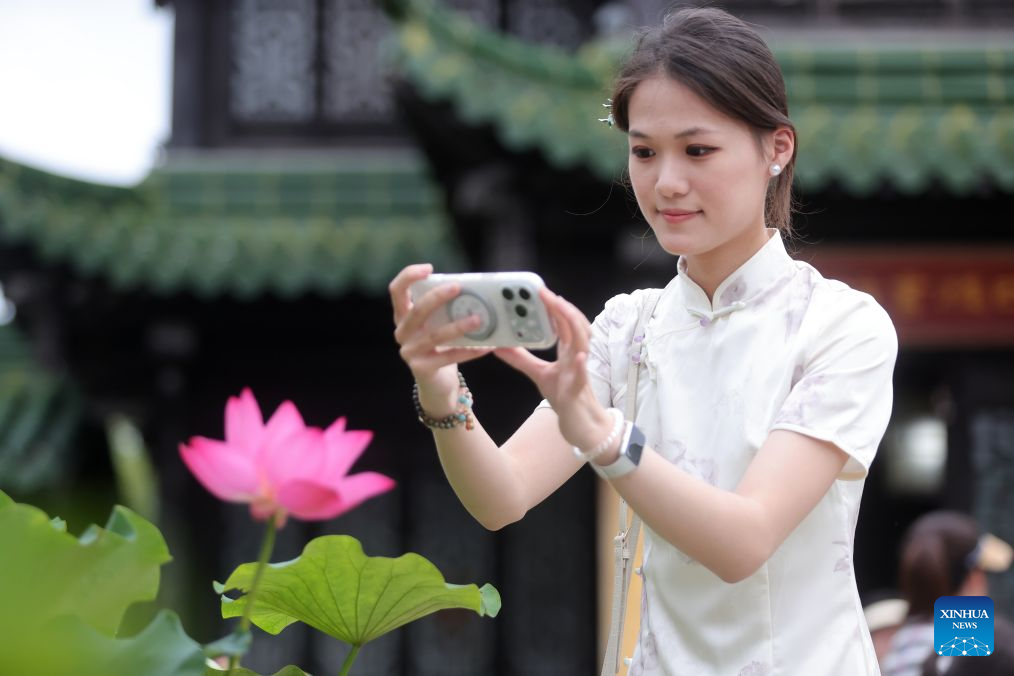 Lotus blooms brighten summer landscapes across China