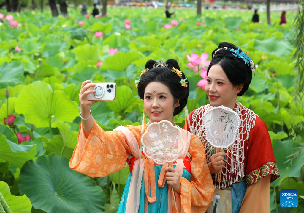 Lotus blooms brighten summer landscapes across China