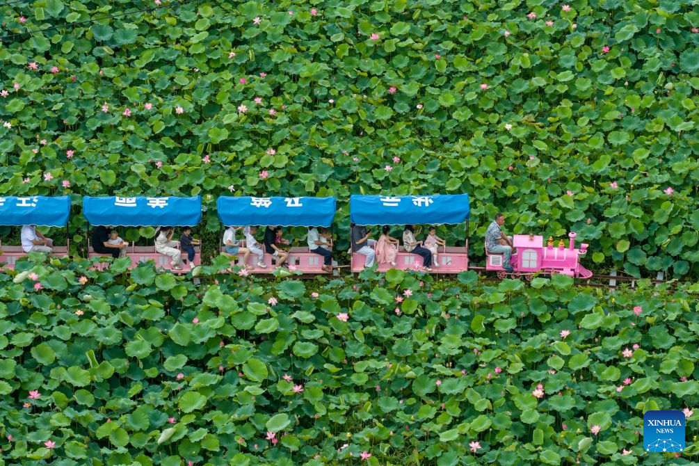 People enjoy Dragon Boat Festival holiday with diverse activities across China